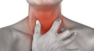 VocalWell - Voice Pathology Diagnosis